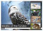 Wildlife of the Tundra (Wall Calendar 2026 DIN A3 landscape), CALVENDO 12 Month Wall Calendar