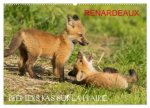 Renardeaux. Premiers pas sur la prairie (Calendrier mural 2026 DIN A2 vertical), CALVENDO calendrier mensuel