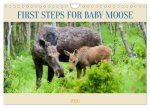 FIRST STEPS FOR BABY MOOSE (Wall Calendar 2026 DIN A4 landscape), CALVENDO 12 Month Wall Calendar