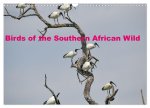 Birds of the Southern African Wild (Wall Calendar 2026 DIN A3 landscape), CALVENDO 12 Month Wall Calendar