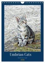 Umbrian Cats (Wall Calendar 2026 DIN A4 portrait), CALVENDO 12 Month Wall Calendar