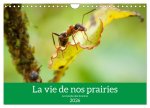 La vie de nos prairies - Le monde des fourmis (Calendrier mural 2026 DIN A4 vertical), CALVENDO calendrier mensuel
