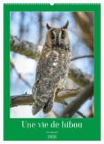 Une vie de hibou les oiseaux (Calendrier mural 2026 DIN A2 horizontal), CALVENDO calendrier mensuel