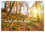 Waldwelten (Tischkalender 2026 DIN A5 quer), CALVENDO Monatskalender