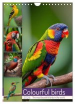 Colourful birds (Wall Calendar 2026 DIN A4 portrait), CALVENDO 12 Month Wall Calendar