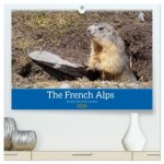 The French Alps, on the trail of the marmot (High Quality Premium Wall Calendar 2026 DIN A2 landscape),CALVENDO 12 Month Wall Calendar