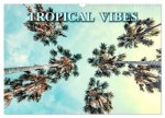 Tropical Vibes (Wall Calendar 2026 DIN A3 landscape), CALVENDO 12 Month Wall Calendar
