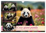 Cozy giant panda (Wall Calendar 2026 DIN A4 landscape), CALVENDO 12 Month Wall Calendar