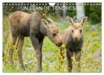 Un élan de tendresse (Calendrier mural 2026 DIN A4 vertical), CALVENDO calendrier mensuel