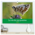 La vie de nos prairie, les papillons  (Calendrier mural 2026 DIN A2 vertical) calendrier de bureau
