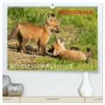 Renardeaux. Premiers pas sur la prairie  (Calendrier mural 2026 DIN A2 vertical) calendrier de bureau