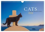 Cats of the Greek Islands (Wall Calendar 2026 DIN A4 landscape), CALVENDO 12 Month Wall Calendar