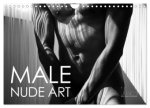 Male Nude Art (Wall Calendar 2026 DIN A4 landscape), CALVENDO 12 Month Wall Calendar