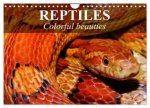Reptiles Colorful beauties (Wall Calendar 2026 DIN A4 landscape), CALVENDO 12 Month Wall Calendar