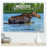 MOOSE Of The Northern Woods (High Quality Premium Wall Calendar 2026 DIN A2 landscape),CALVENDO 12 Month Wall Calendar