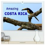Amazing Costa Rica (High Quality Premium Wall Calendar 2026 DIN A2 landscape),CALVENDO 12 Month Wall Calendar