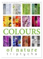 Colours of Nature - Triptycha (Wall Calendar 2026 DIN A4 portrait), CALVENDO 12 Month Wall Calendar