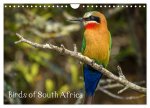 Birds of South Africa (Wall Calendar 2026 DIN A4 landscape), CALVENDO 12 Month Wall Calendar