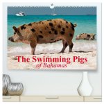 The Swimming Pigs of Bahamas (High Quality Premium Wall Calendar 2026 DIN A2 landscape),CALVENDO 12 Month Wall Calendar