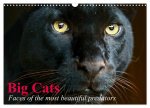 Big Cats - Faces of the most beautiful predators (Wall Calendar 2026 DIN A3 landscape), CALVENDO 12 Month Wall Calendar