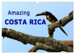 Amazing Costa Rica (Wall Calendar 2026 DIN A3 landscape), CALVENDO 12 Month Wall Calendar