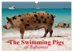 The Swimming Pigs of Bahamas (Wall Calendar 2026 DIN A3 landscape), CALVENDO 12 Month Wall Calendar