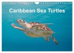 Caribbean Sea Turtles (Wall Calendar 2026 DIN A4 landscape), CALVENDO 12 Month Wall Calendar