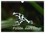 Poison dart frogs / UK-Version / Birthday Calendar (Wall Calendar 2026 DIN A4 landscape), CALVENDO 12 Month Wall Calendar