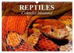 Reptiles Colorful beauties (Wall Calendar 2026 DIN A3 landscape), CALVENDO 12 Month Wall Calendar