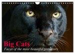 Big Cats - Faces of the most beautiful predators (Wall Calendar 2026 DIN A4 landscape), CALVENDO 12 Month Wall Calendar