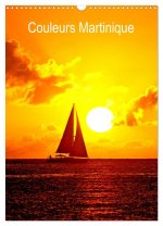 Couleurs Martinique (Calendrier mural 2026 DIN A3 horizontal), CALVENDO calendrier mensuel