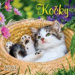 Kalendář 2026 Kočky, nástěnný, 33 x 33 cm