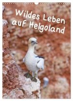 Wildes Leben auf Helgoland (Wandkalender 2026 DIN A3 hoch), CALVENDO Monatskalender
