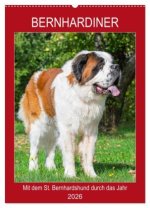 Bernhardiner - Mit dem St. Bernhardshund durch das Jahr (Wandkalender 2026 DIN A2 hoch), CALVENDO Monatskalender