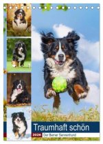Traumhaft schön - Der Berner Sennenhund (Tischkalender 2026 DIN A5 hoch), CALVENDO Monatskalender