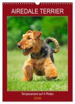 Airedale Terrier - Temperament auf 4 Pfoten (Wandkalender 2026 DIN A3 hoch), CALVENDO Monatskalender