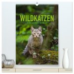 Wildkatzen - Kleine Samtpfoten des Waldes (hochwertiger Premium Wandkalender 2026 DIN A2 hoch), Kunstdruck in Hochglanz