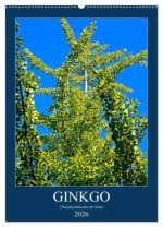 Ginkgo (Wandkalender 2026 DIN A2 hoch), CALVENDO Monatskalender