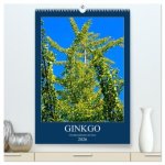 Ginkgo (hochwertiger Premium Wandkalender 2026 DIN A2 hoch), Kunstdruck in Hochglanz