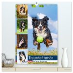 Traumhaft schön - Der Berner Sennenhund (hochwertiger Premium Wandkalender 2026 DIN A2 hoch), Kunstdruck in Hochglanz