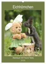 Eichhörnchen - Abenteuer mit Freund Teddy (Wandkalender 2026 DIN A2 hoch), CALVENDO Monatskalender