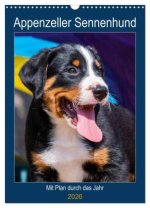 Appenzeller Sennenhund - Mit Plan durch das Jahr (Wandkalender 2026 DIN A3 hoch), CALVENDO Monatskalender
