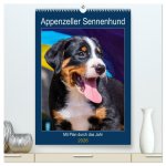 Appenzeller Sennenhund - Mit Plan durch das Jahr (hochwertiger Premium Wandkalender 2026 DIN A2 hoch), Kunstdruck in Hochglanz