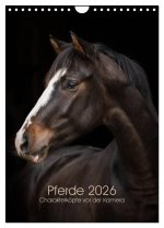 Pferde 2026 - Charakterköpfe vor der Kamera (Wandkalender 2026 DIN A4 hoch), CALVENDO Monatskalender