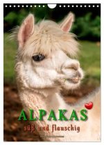 Alpakas - süß und flauschig (Wandkalender 2026 DIN A4 hoch), CALVENDO Monatskalender