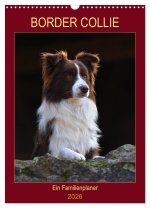 Border Collie - Ein Familienplaner (Wandkalender 2026 DIN A3 hoch), CALVENDO Monatskalender