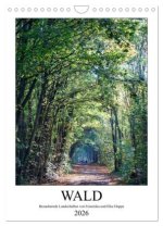 Wald - bezaubernde Landschaften (Wandkalender 2026 DIN A4 hoch), CALVENDO Monatskalender