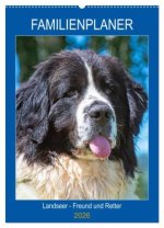 Familienplaner Landseer - Freund und Retter (Wandkalender 2026 DIN A2 hoch), CALVENDO Monatskalender