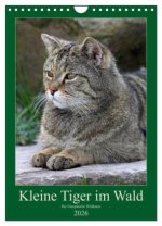 Kleine Tiger im Wald (Wandkalender 2026 DIN A4 hoch), CALVENDO Monatskalender