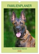 Familienplaner Tausendsassa Malinois (Wandkalender 2026 DIN A3 hoch), CALVENDO Monatskalender